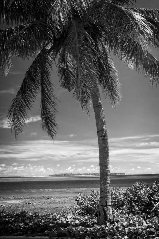 Ocean View art print by Debra Van Swearingen for $57.95 CAD