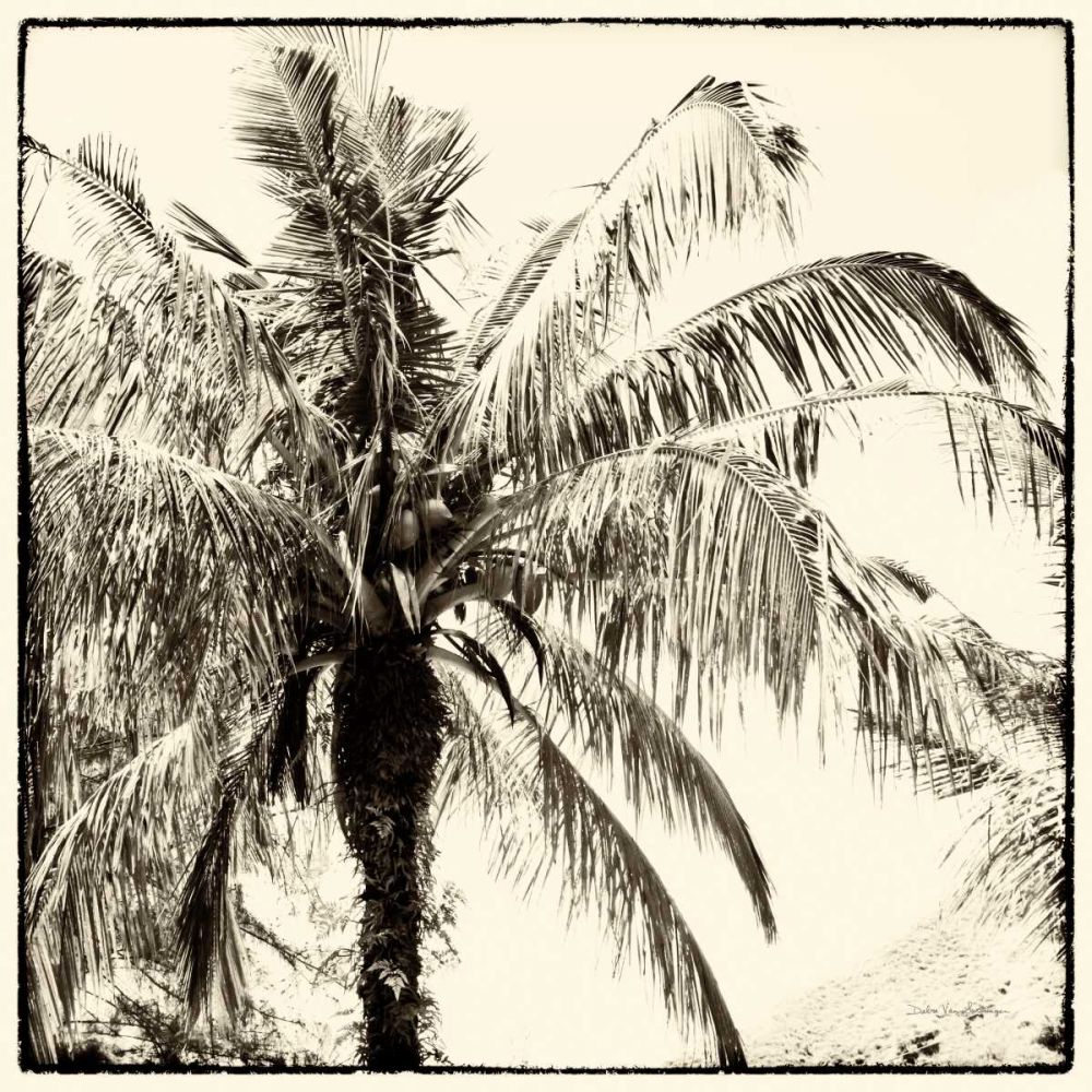 Palm Tree Sepia III art print by Debra Van Swearingen for $57.95 CAD