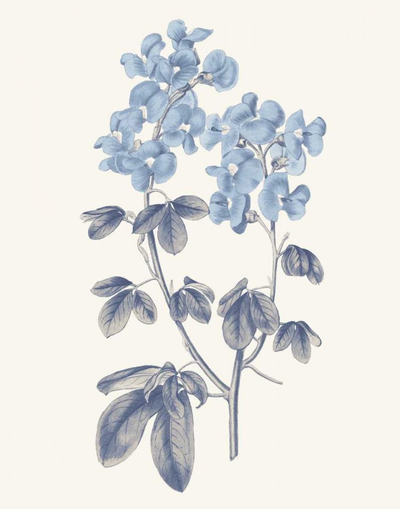 Blue Botanical III art print by Wild Apple Portfolio for $57.95 CAD