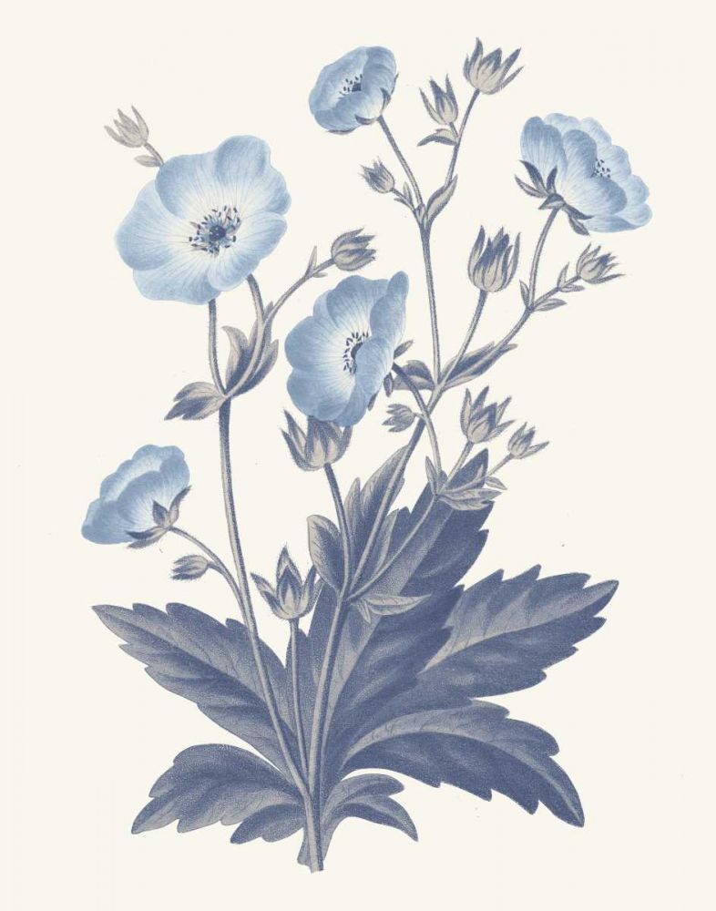 Blue Botanical VI art print by Wild Apple Portfolio for $57.95 CAD