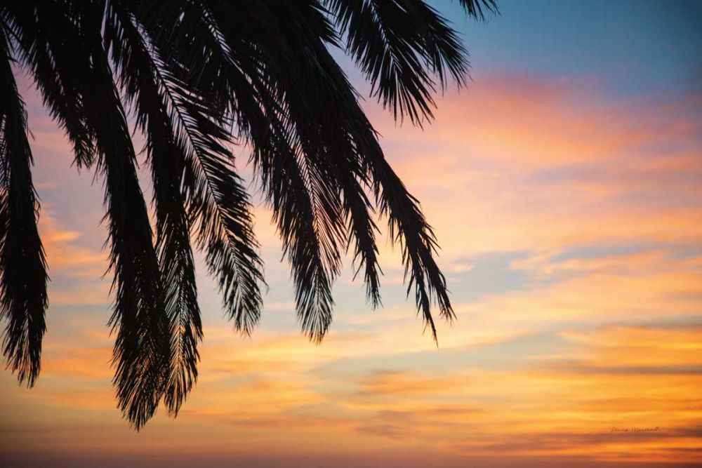 Sunset Palms I art print by Laura Marshall for $57.95 CAD