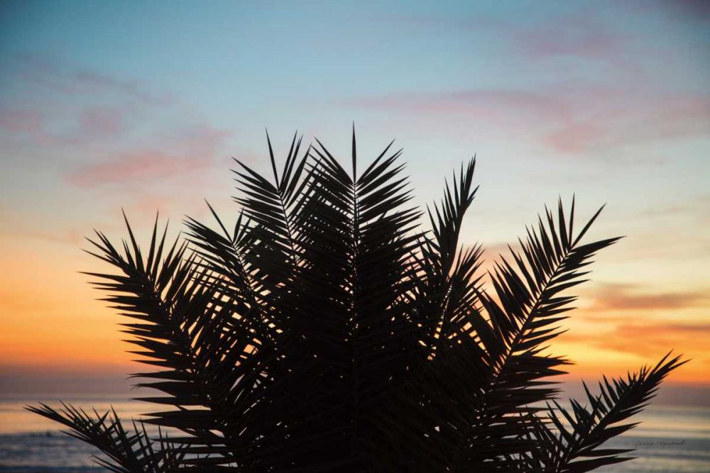 Sunset Palms II art print by Laura Marshall for $57.95 CAD