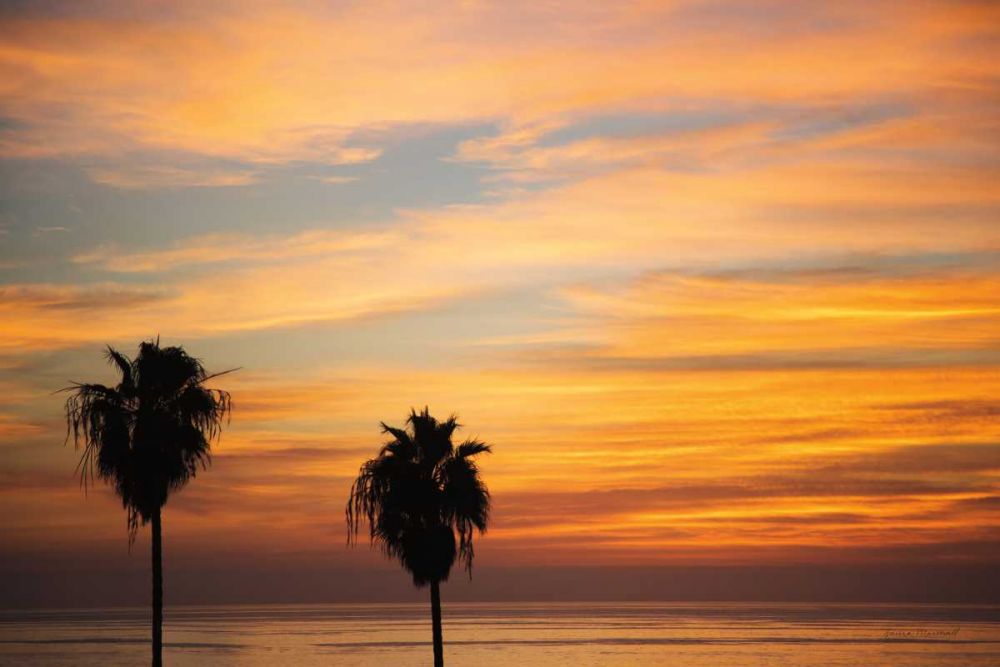 Sunset Palms III art print by Laura Marshall for $57.95 CAD