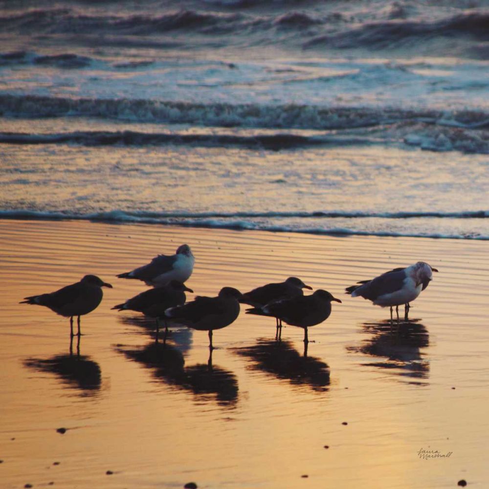 Kalaloch Birds I art print by Laura Marshall for $57.95 CAD