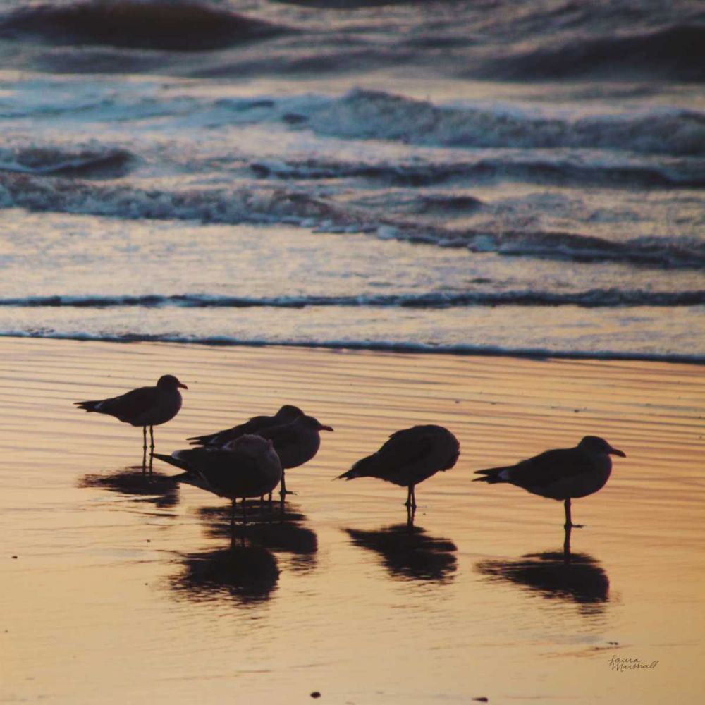 Kalaloch Birds II art print by Laura Marshall for $57.95 CAD