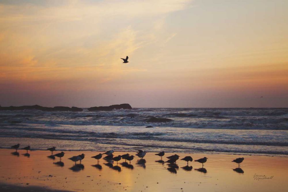 Kalaloch Birds III art print by Laura Marshall for $57.95 CAD