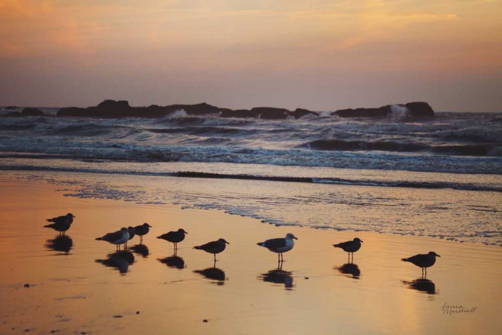 Kalaloch Birds IV art print by Laura Marshall for $57.95 CAD