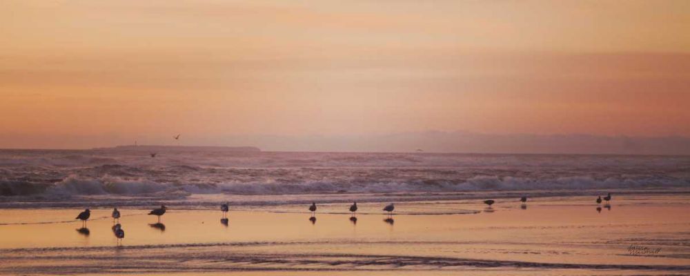 Kalaloch Birds V art print by Laura Marshall for $57.95 CAD