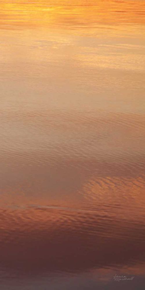 Kalaloch Reflections III art print by Laura Marshall for $57.95 CAD