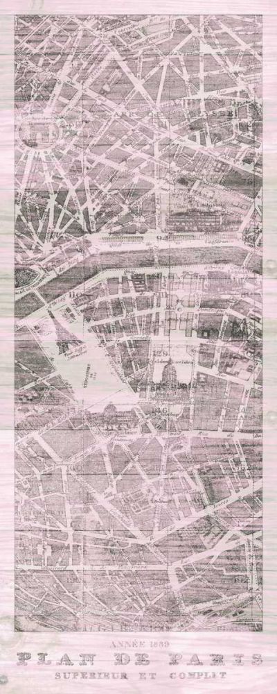 Plan de Paris Panel on Wood v2 Blush art print by Wild Apple Portfolio for $57.95 CAD