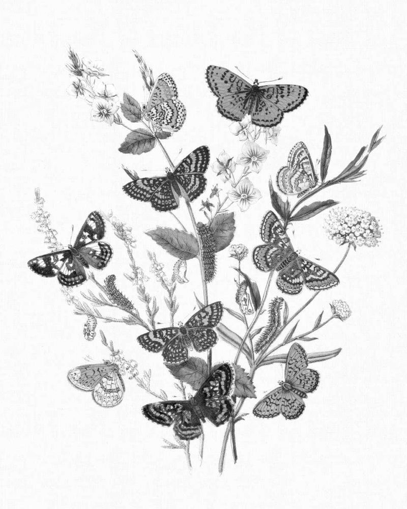 Butterfly Bouquet I Linen BW I art print by Wild Apple Portfolio for $57.95 CAD