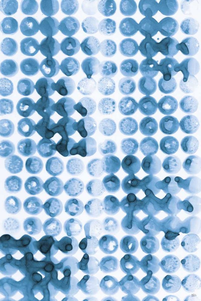 Kanari III Indigo art print by Melissa Averinos for $57.95 CAD