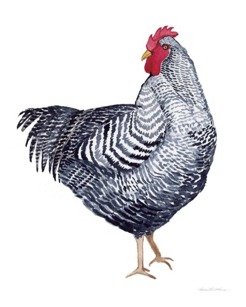 Life on the Farm Chicken Element I art print by Kathleen Parr McKenna for $57.95 CAD