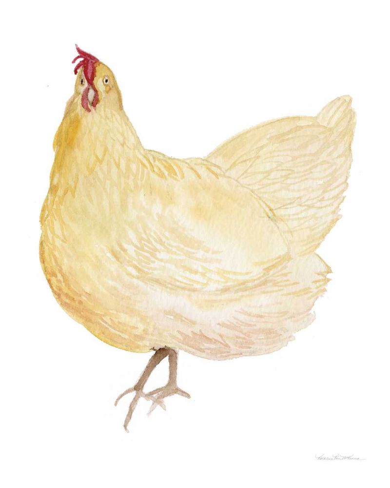 Life on the Farm Chicken Element II art print by Kathleen Parr McKenna for $57.95 CAD