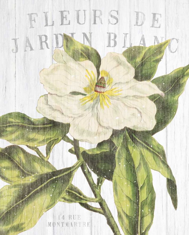 Fleuriste Paris II art print by Wild Apple Portfolio for $57.95 CAD