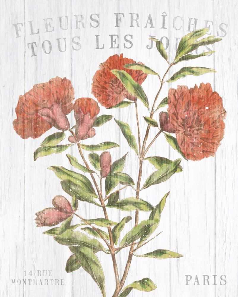 Fleuriste Paris III art print by Wild Apple Portfolio for $57.95 CAD