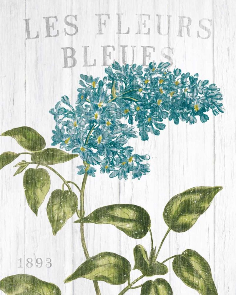 Fleuriste Paris V art print by Wild Apple Portfolio for $57.95 CAD