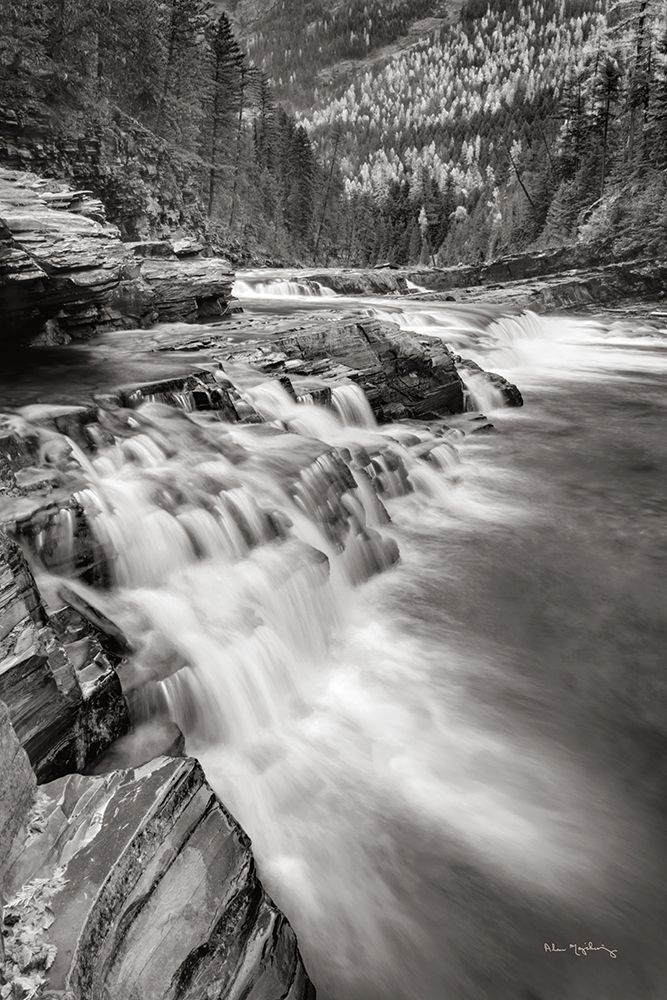 Aspens at McDonald Creek Falls art print by Alan Majchrowicz for $57.95 CAD