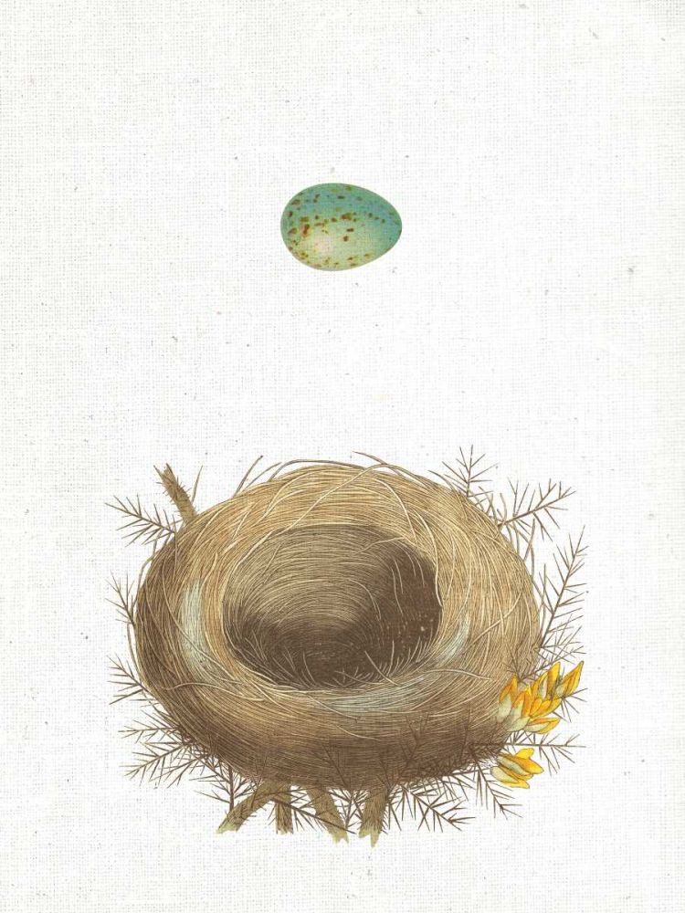 Spring Nest I art print by Wild Apple Portfolio for $57.95 CAD