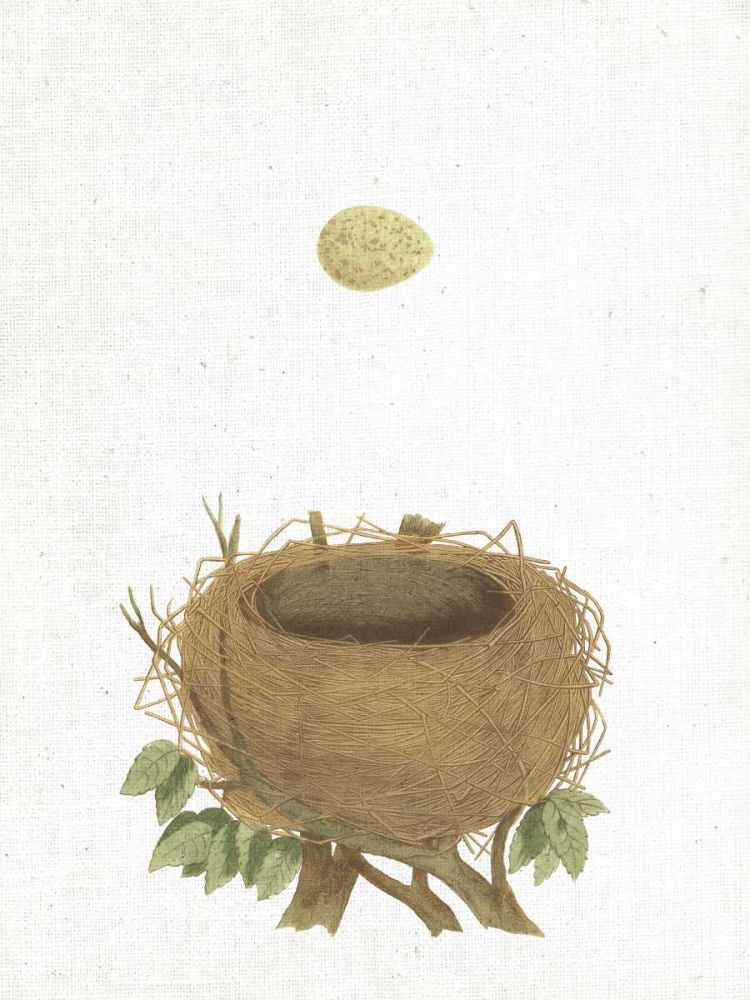 Spring Nest II art print by Wild Apple Portfolio for $57.95 CAD
