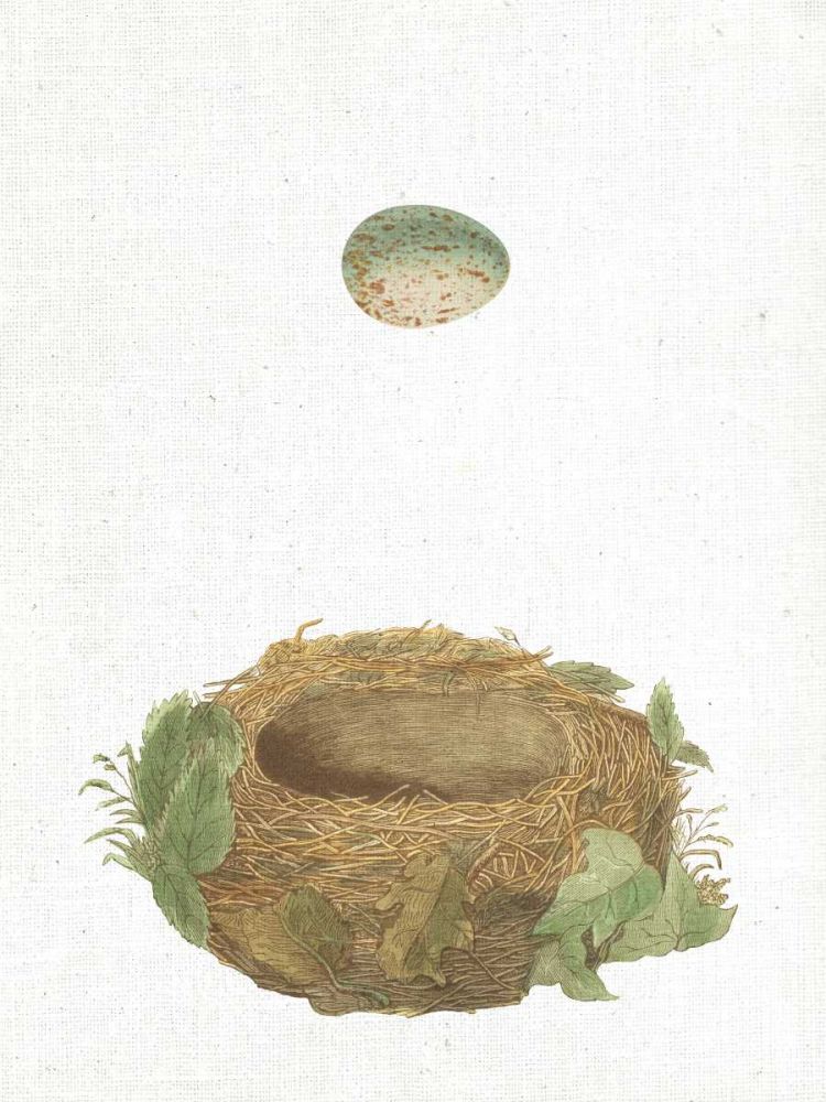 Spring Nest IV art print by Wild Apple Portfolio for $57.95 CAD
