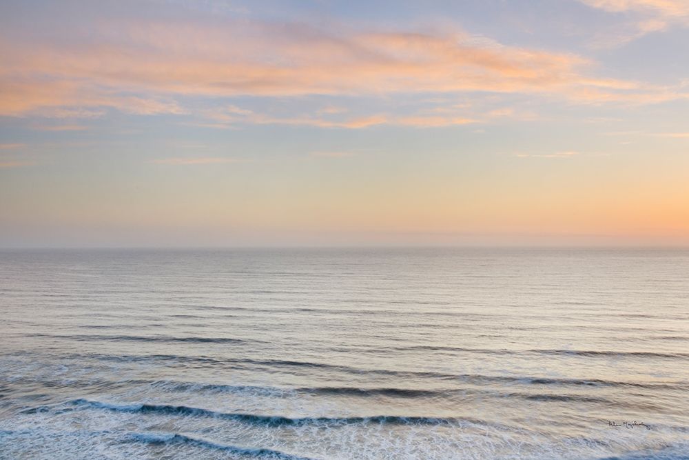 Sunset on Redwoods Coast I art print by Alan Majchrowicz for $57.95 CAD