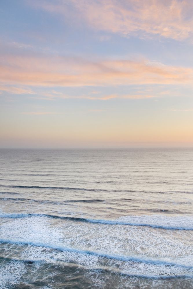 Sunset on Redwoods Coast II art print by Alan Majchrowicz for $57.95 CAD
