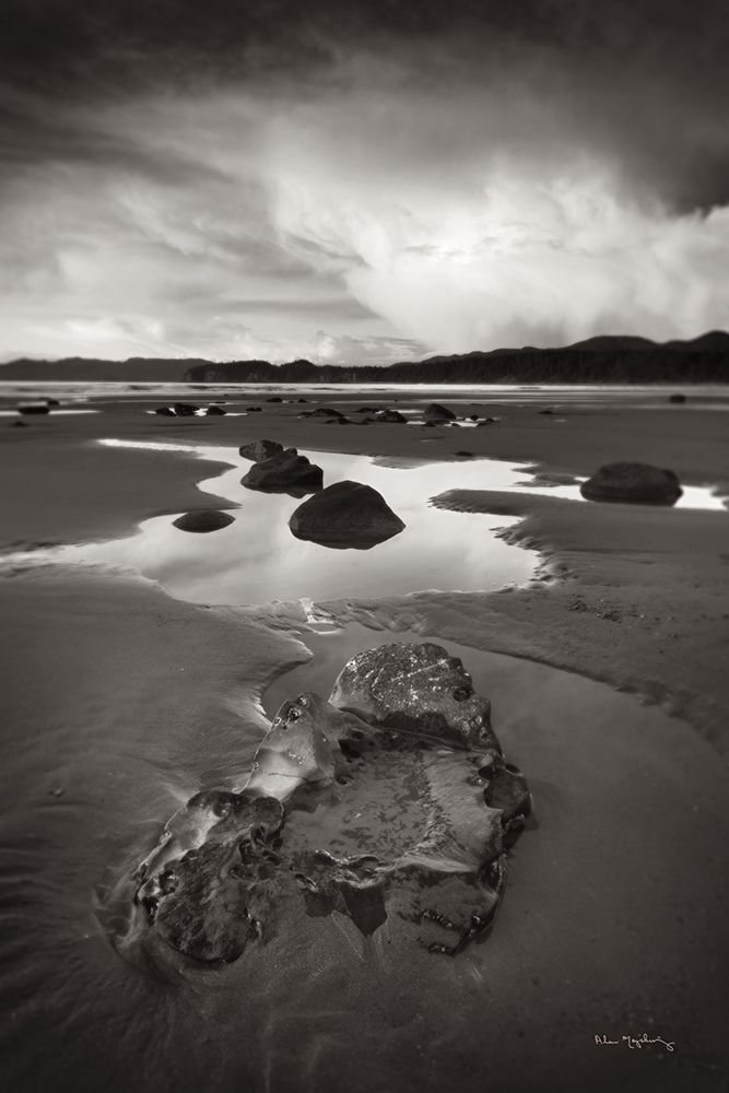 Clearing Storm on Washington Coast V art print by Alan Majchrowicz for $57.95 CAD