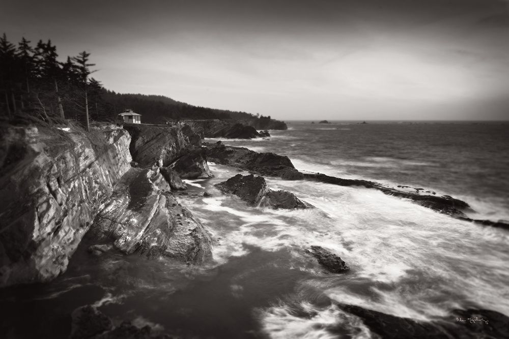 Shore Acres State Park art print by Alan Majchrowicz for $57.95 CAD