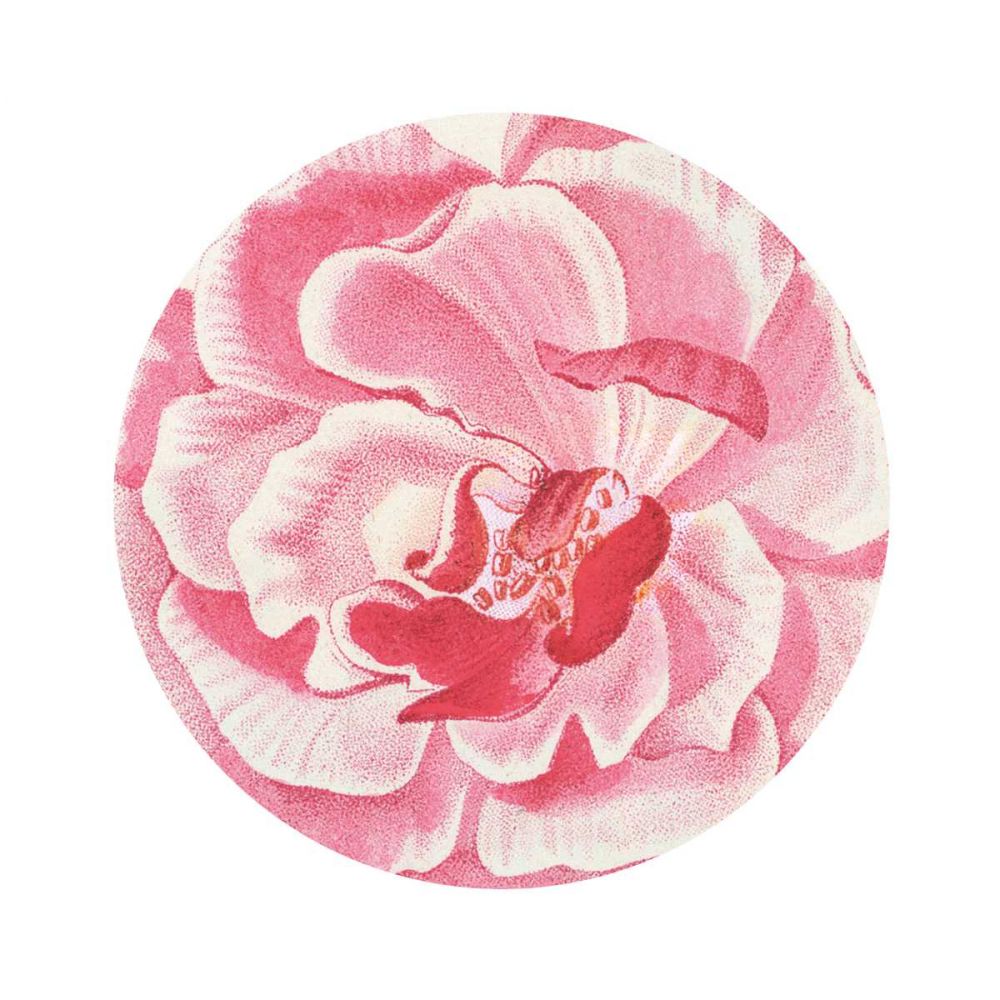 Rosa Circle art print by Wild Apple Portfolio for $57.95 CAD