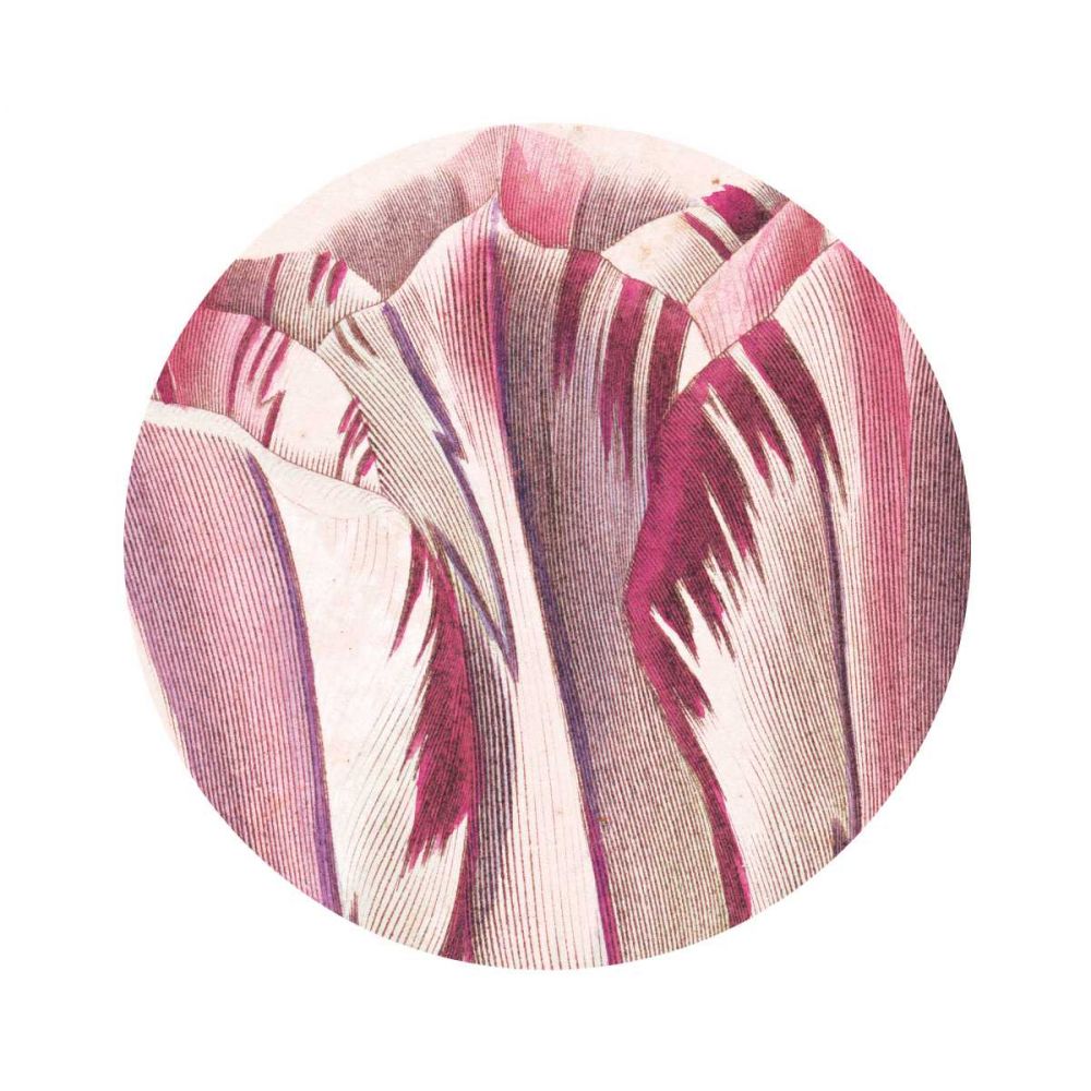 Tulips Circle art print by Wild Apple Portfolio for $57.95 CAD