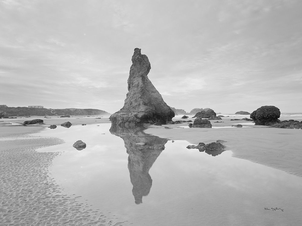 Bandon Needles art print by Alan Majchrowicz for $57.95 CAD