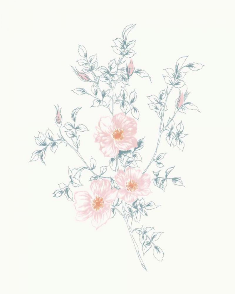 Flowers on White II Contemporary art print by Wild Apple Portfolio for $57.95 CAD