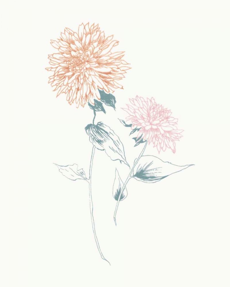 Flowers on White IV Contemporary art print by Wild Apple Portfolio for $57.95 CAD