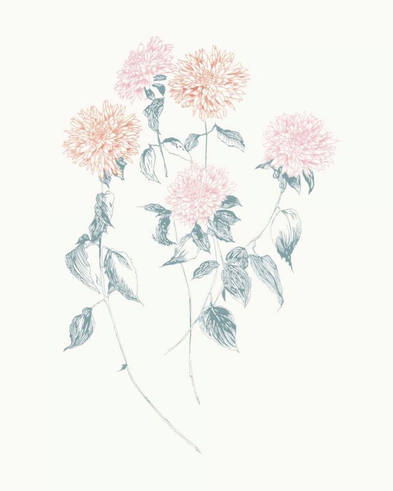 Flowers on White VI Contemporary art print by Wild Apple Portfolio for $57.95 CAD