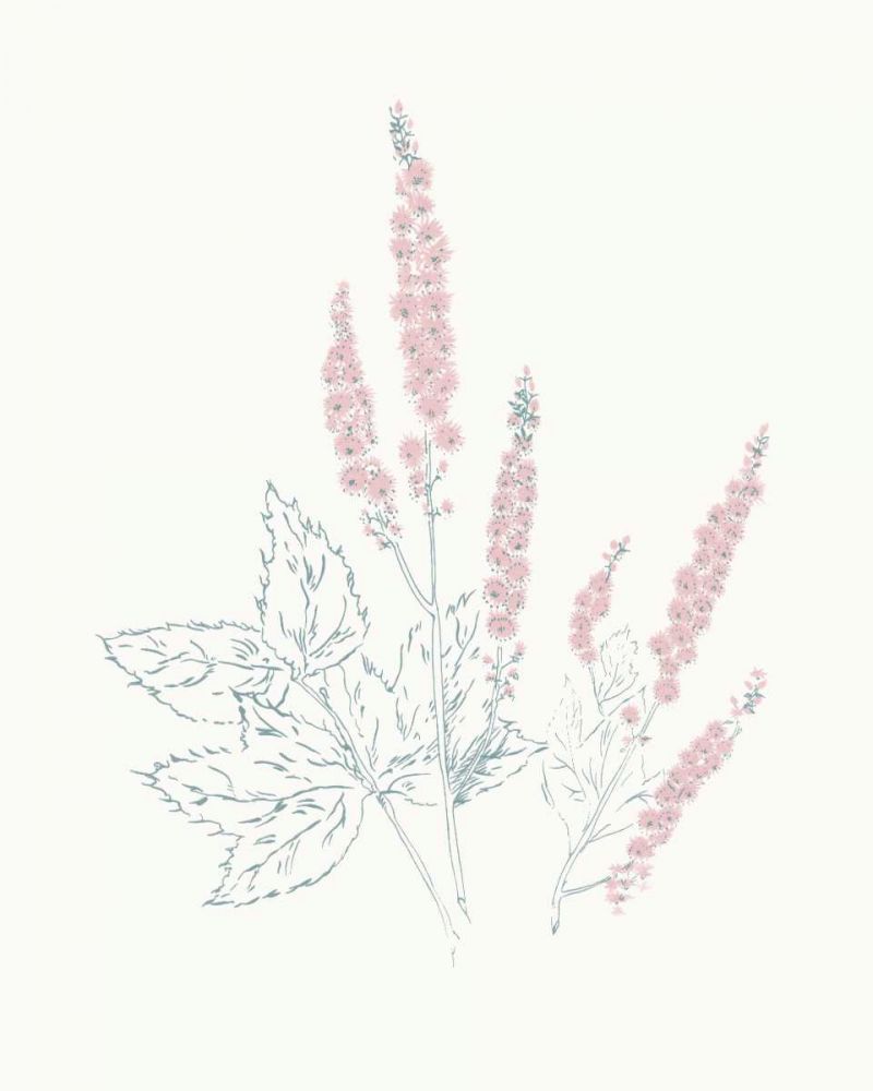 Flowers on White VII Contemporary art print by Wild Apple Portfolio for $57.95 CAD