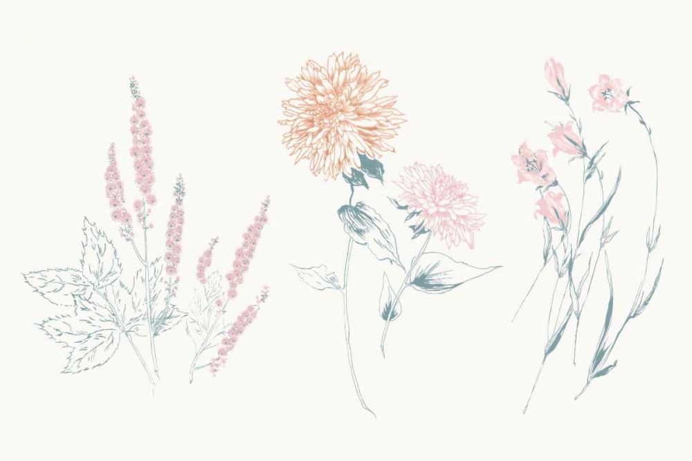 Flowers on White VIII Contemporary art print by Wild Apple Portfolio for $57.95 CAD