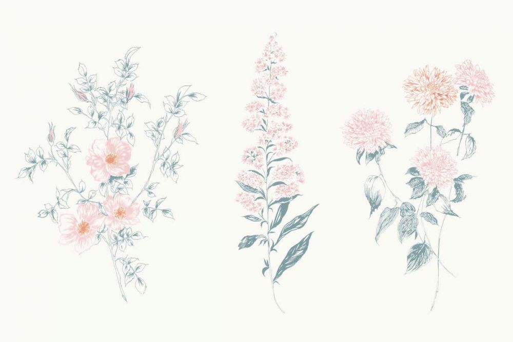 Flowers on White IX Contemporary art print by Wild Apple Portfolio for $57.95 CAD