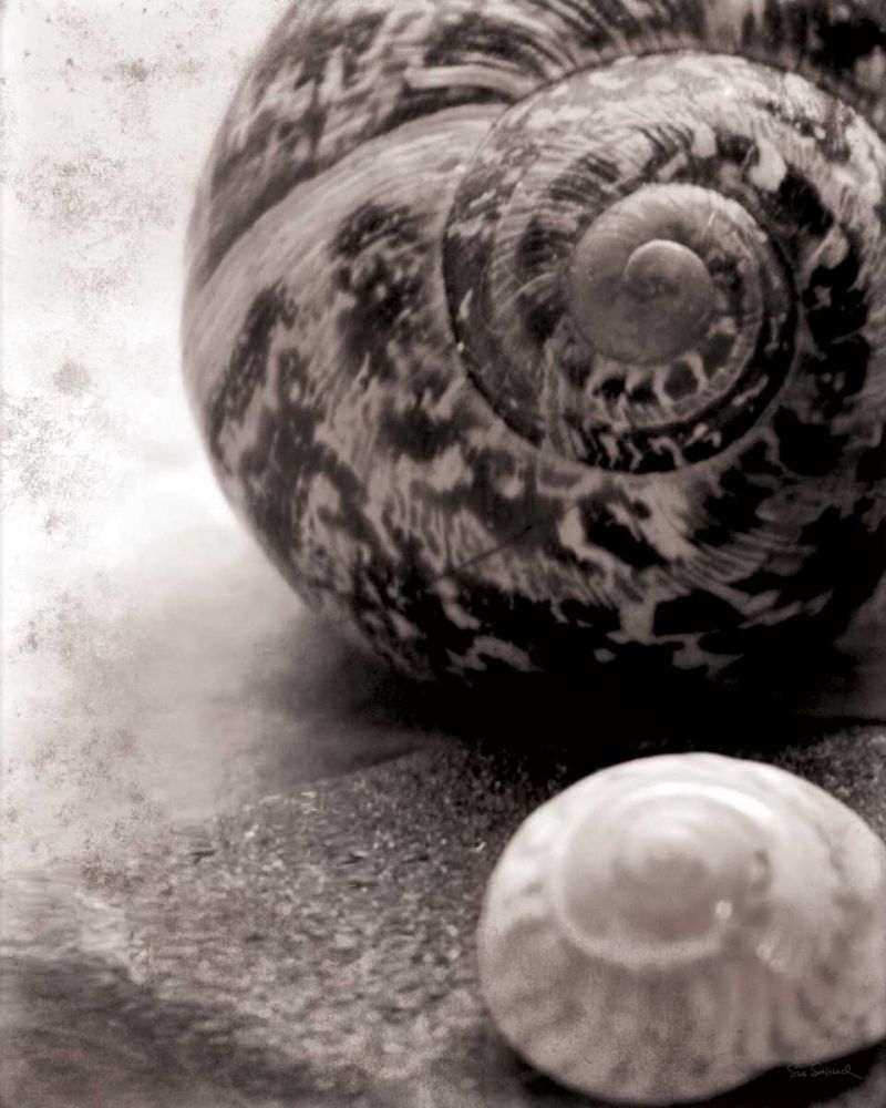 New Discoveries No Border art print by Sue Schlabach for $57.95 CAD