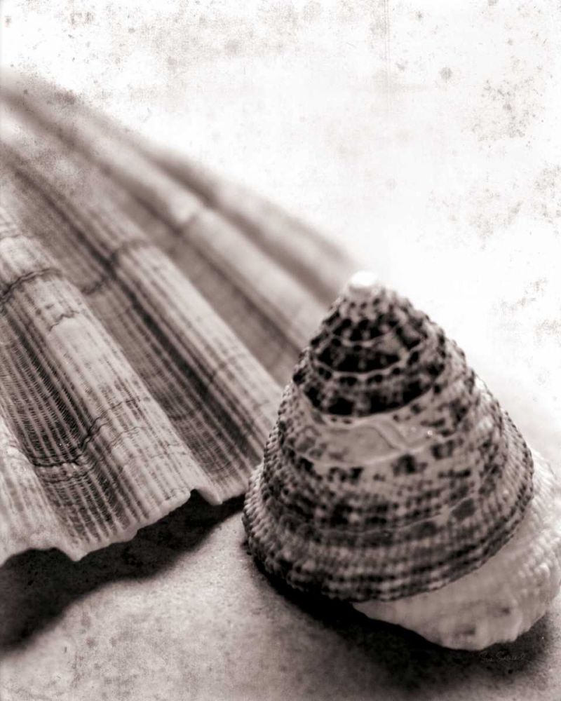 Gifts From the Sea No Border art print by Sue Schlabach for $57.95 CAD
