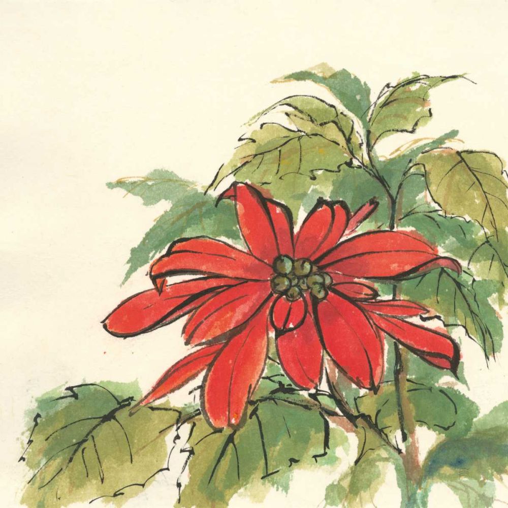 Poinsettia I art print by Chris Paschke for $57.95 CAD