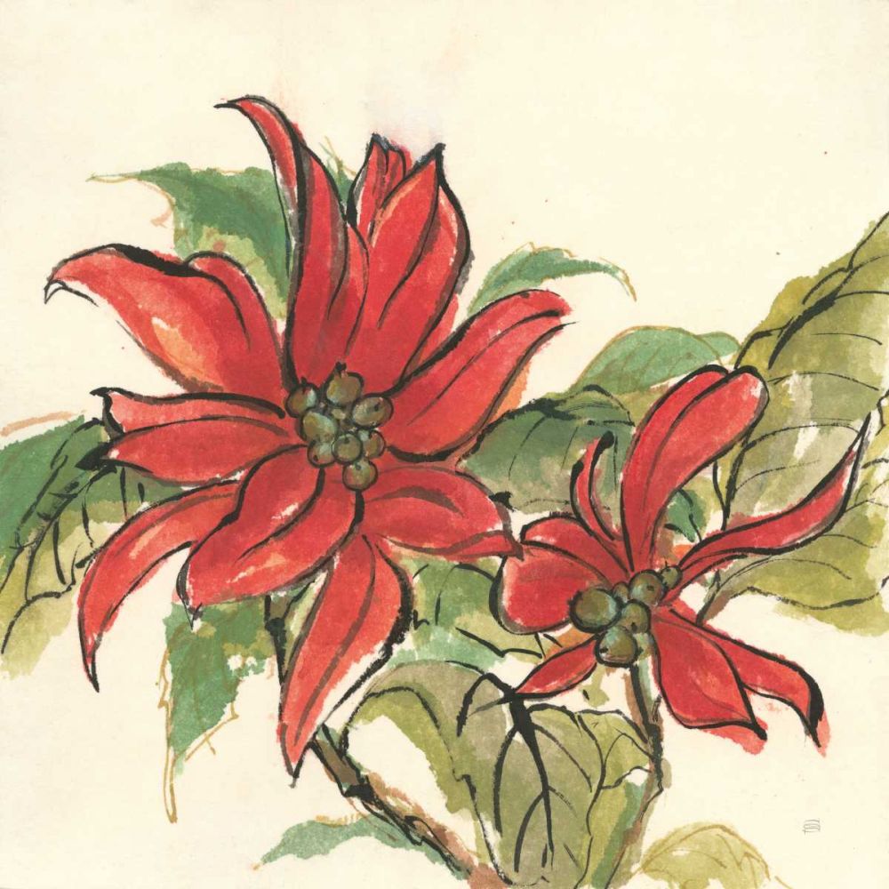 Poinsettia II art print by Chris Paschke for $57.95 CAD