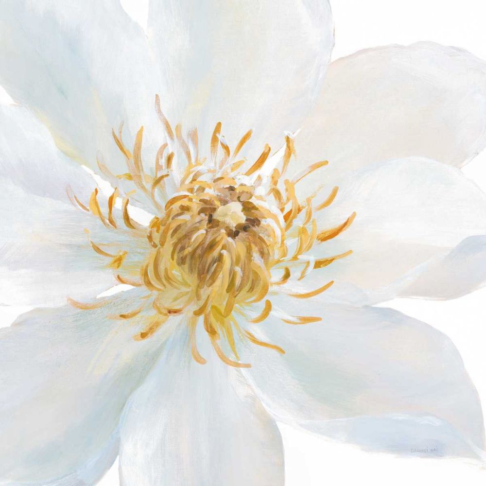 Contemporary Clematis Gray art print by Danhui Nai for $57.95 CAD
