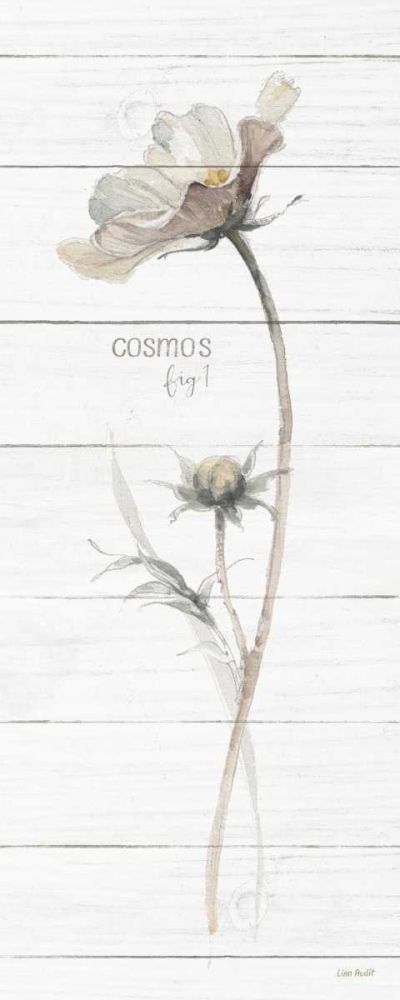 A Country Weekend VII Shiplap art print by Lisa Audit for $57.95 CAD