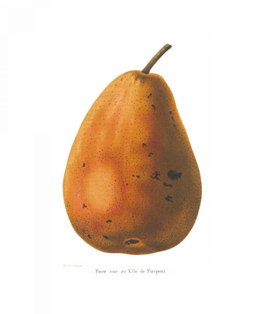 Pierpont on White art print by Wild Apple Portfolio for $57.95 CAD