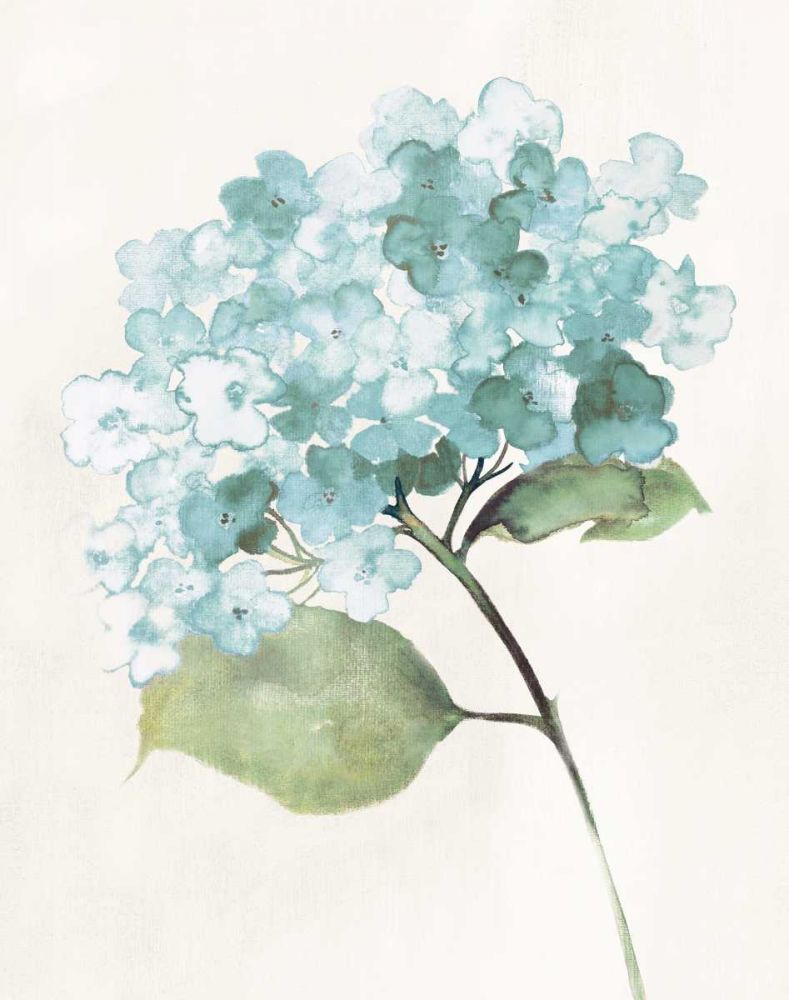 Antique Floral on Cream I Blue art print by Wild Apple Portfolio for $57.95 CAD
