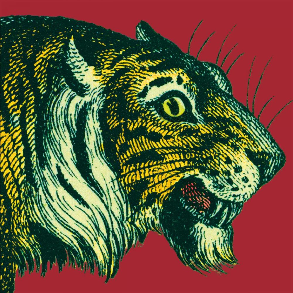Jungle Flair I art print by Wild Apple Portfolio for $57.95 CAD