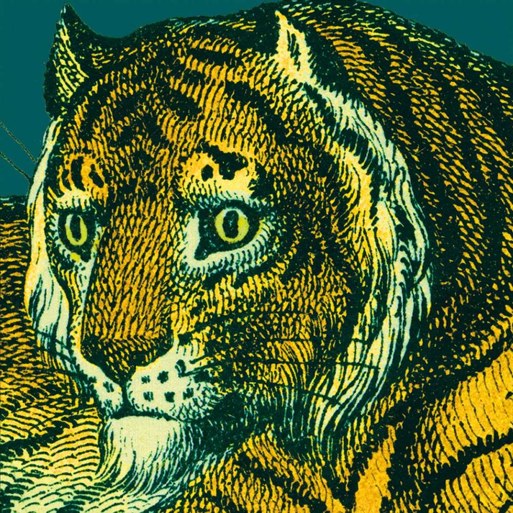 Jungle Flair II art print by Wild Apple Portfolio for $57.95 CAD