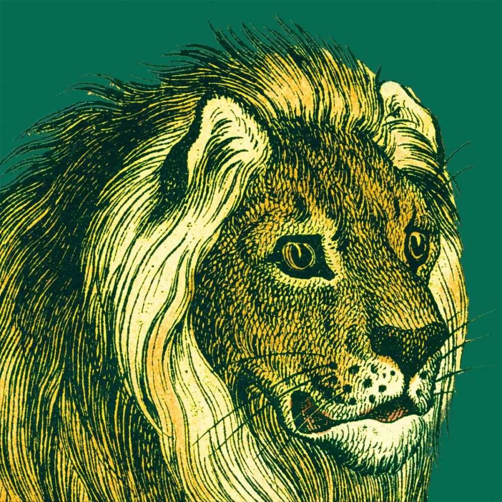 Jungle Flair III art print by Wild Apple Portfolio for $57.95 CAD