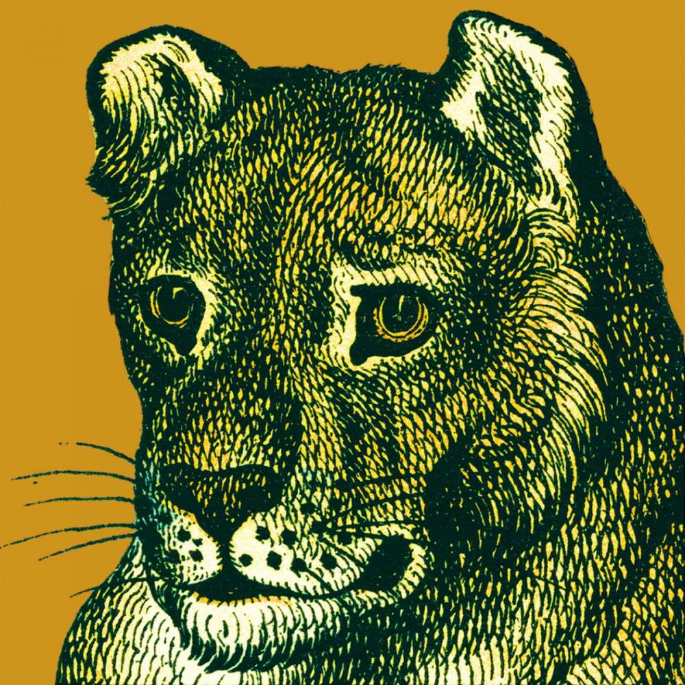 Jungle Flair IV art print by Wild Apple Portfolio for $57.95 CAD